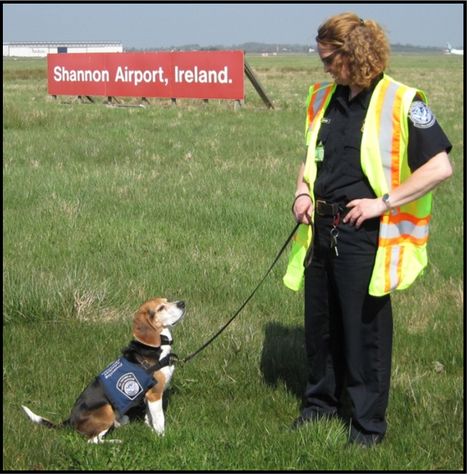 Drug Dog being trained