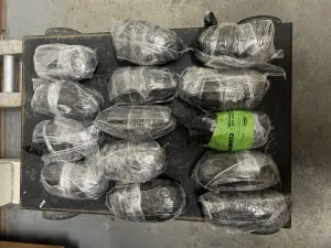Seized drug load.