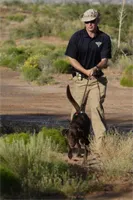 A CBP canine team performs search and rescue operations A CBP canine team performs search and rescue operations