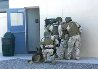A canine supports a special reponse team A canine supports a special response team